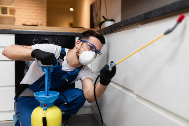 Best Exterminator Services  in Prospect Park, NJ