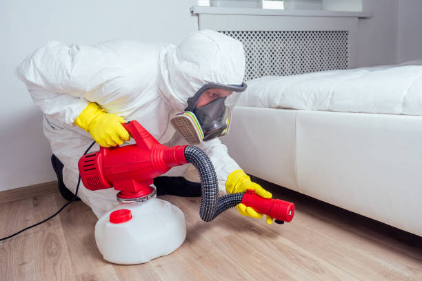 Best Pest Inspection Near Me  in Prospect Park, NJ